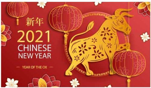 河南盛順凱新型建筑材料有限公司祝大家新年快樂(lè)，牛年更比一年牛！